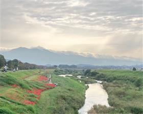 2024106開花状況