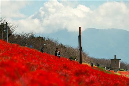 1005開花状況