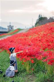 実行委員会特別賞