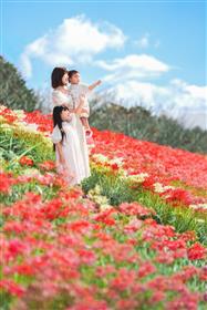 実行委員会特別賞